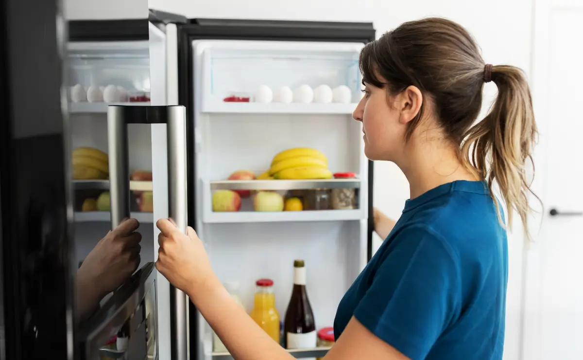 What Are the Causes of Refrigerator Noise?