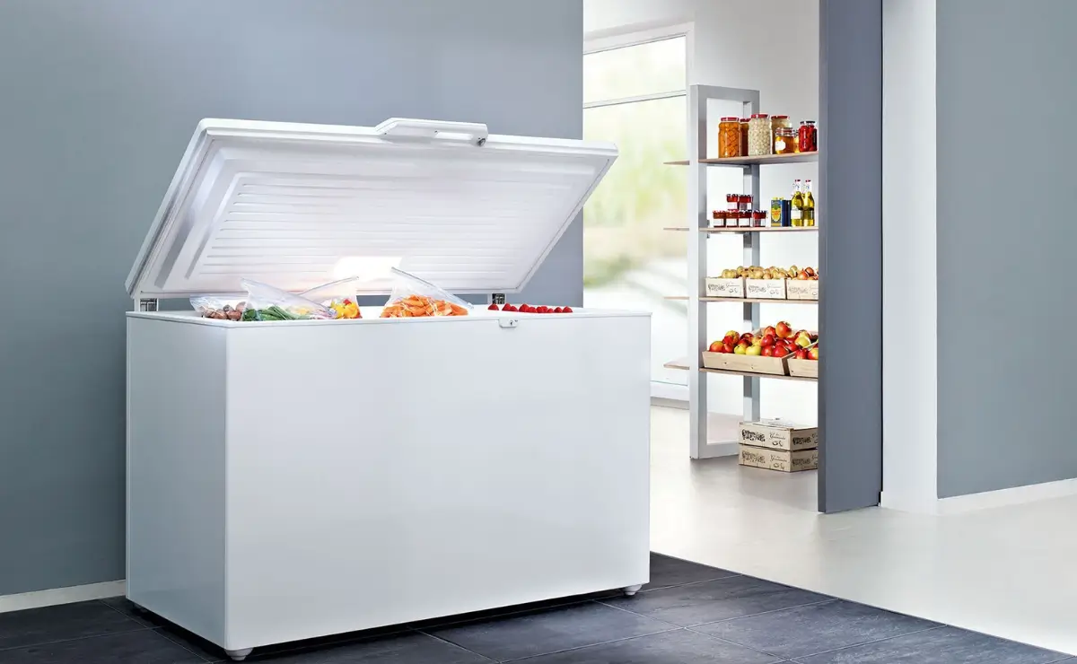 What to Do If the Freezer Leaks Water?